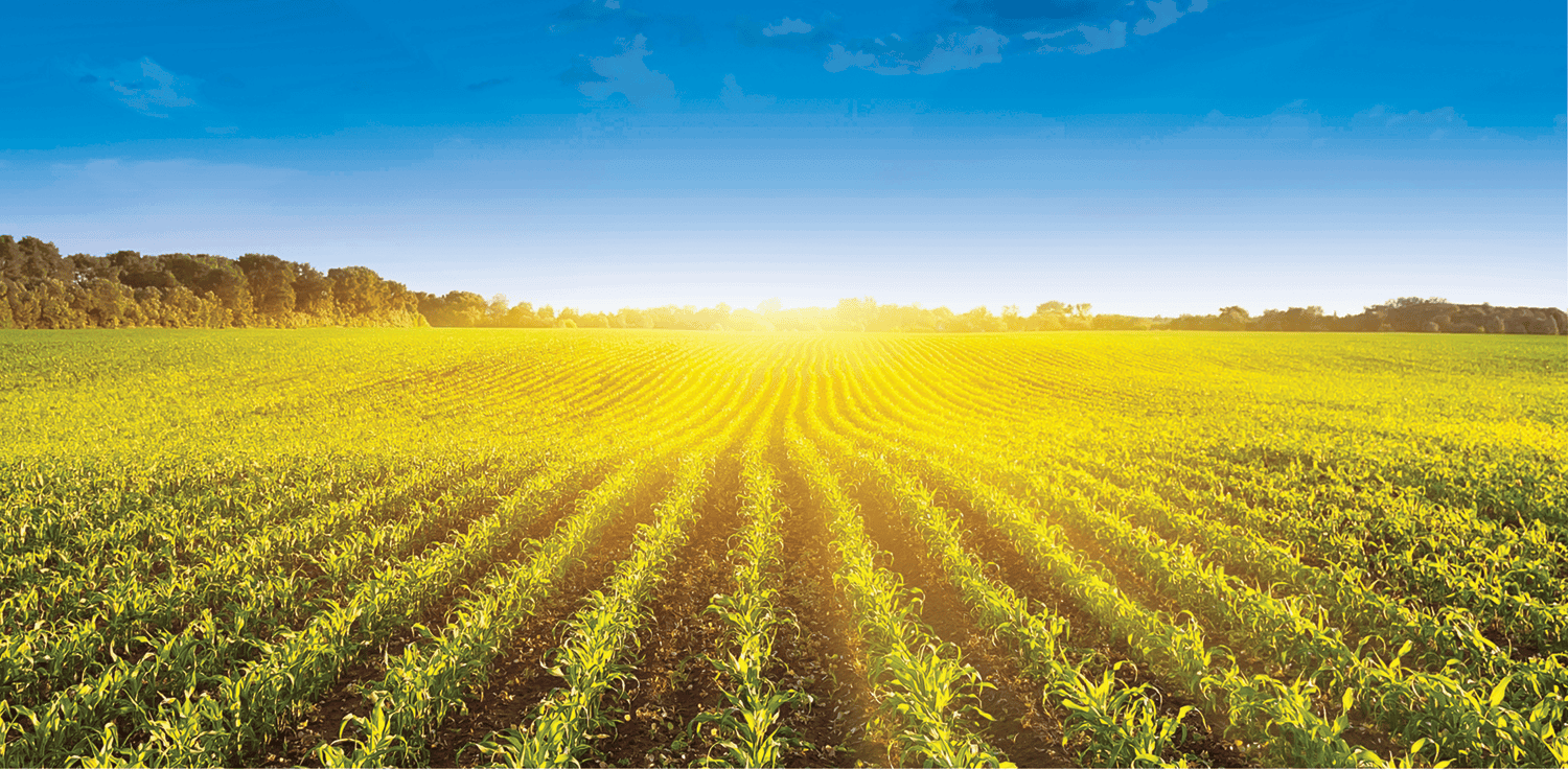 Fertilizer Field NEW